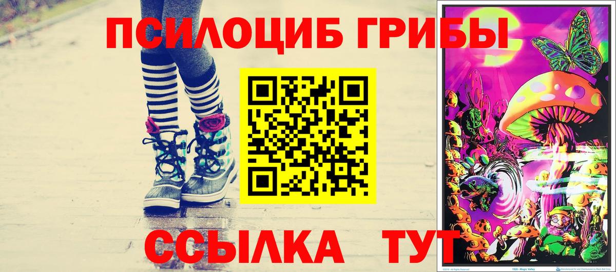 Галлюциногенные грибы Magic Shrooms  Вход с VPN  Борзя 