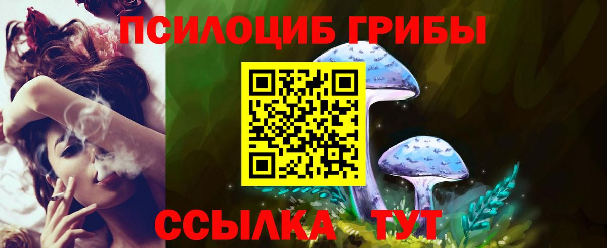 Галлюциногенные грибы Cubensis Борзя